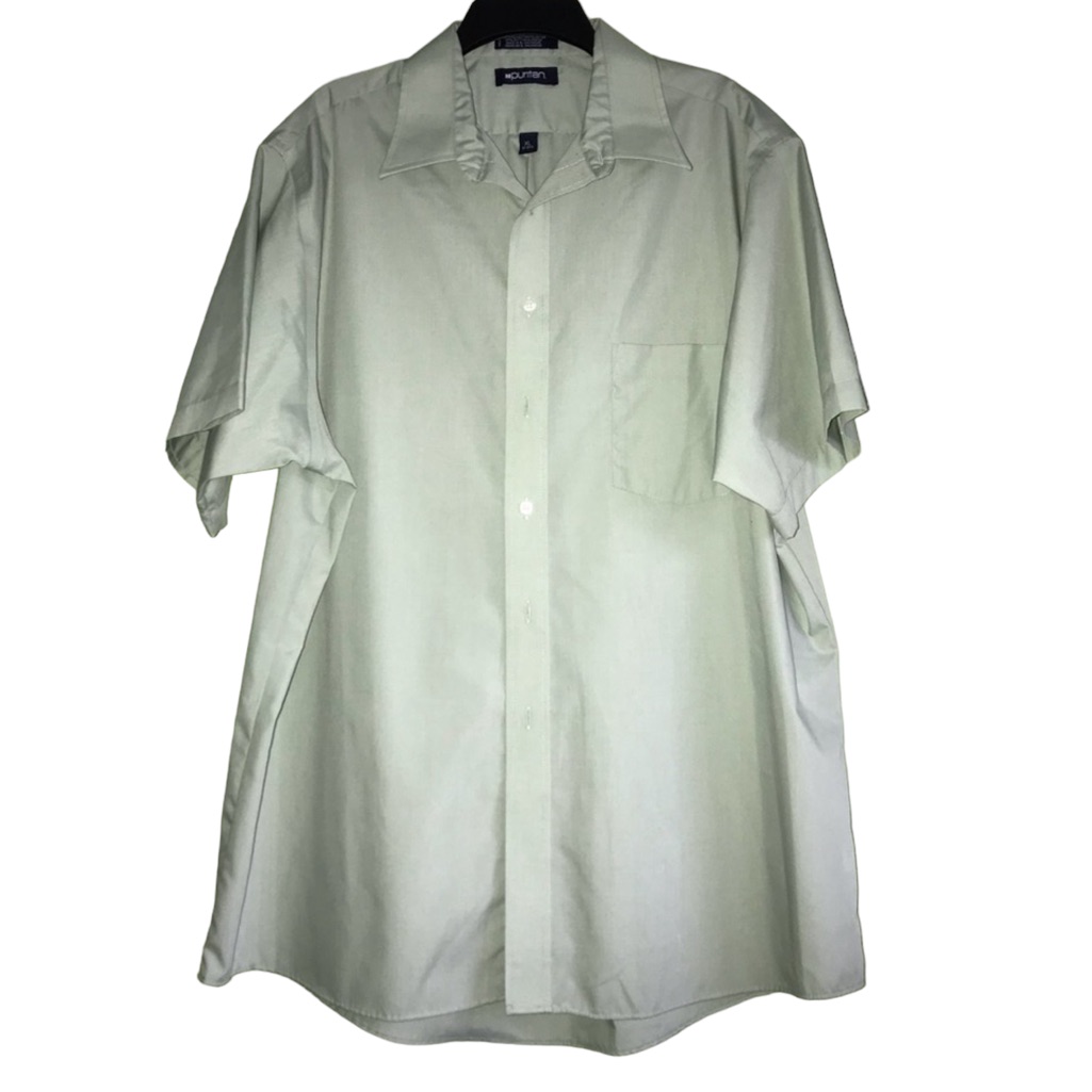 Puritan Button Down